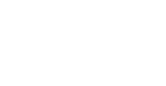 Sarasota Film Festival