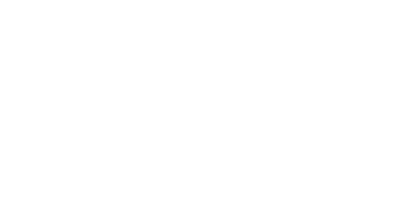 Tribeca Festival