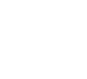 SXSW 2021, Audience Award winner