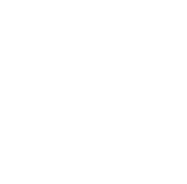 Tribeca Festival, Official Selection